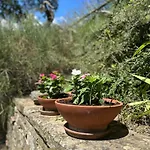 I Poggi Di Belvedere * Pieve Santo Stefano